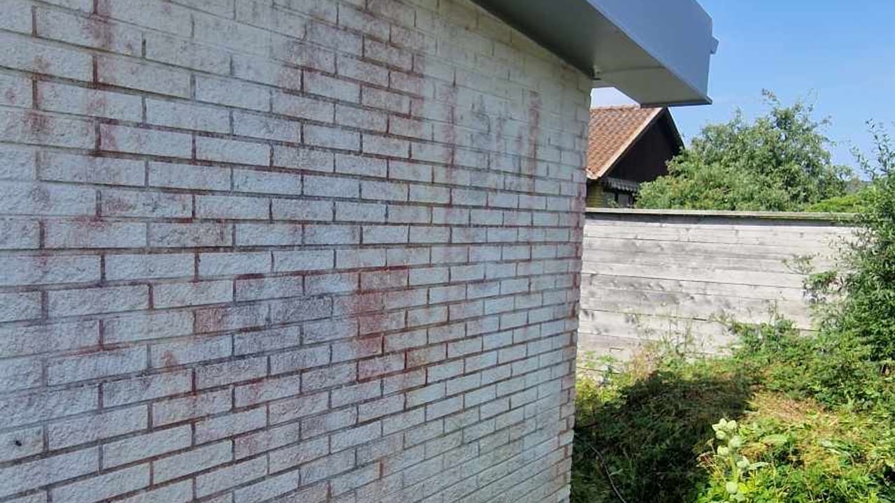 Alger på fasad i Staffanstorp - kraftig algpåväxt på putsfasad
